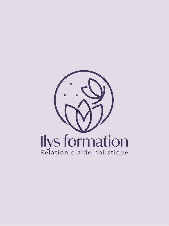 Logo Ilys Formation